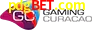 Gaming License